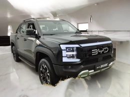 Imagem de BYD SHARK